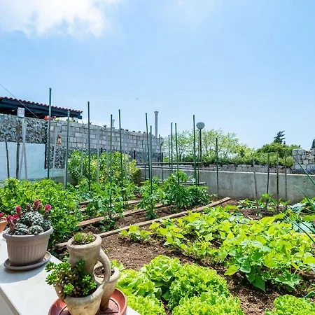 公寓 尼科公寓 *